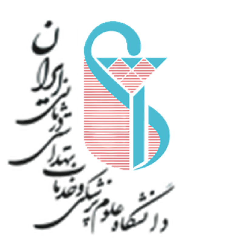 نشان رسمی دانشگاه علوم پزشکی و خدمات درمانی ایران  - همکار پروژه PDSDS